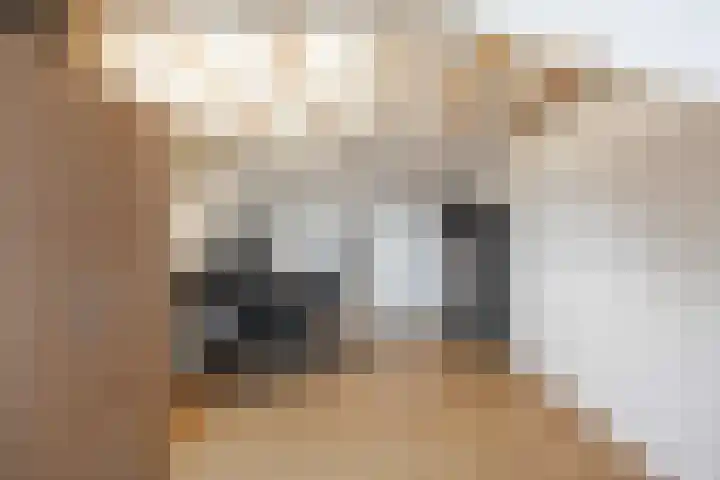 Poortkampen 31 Zuidhorn thumbnail 32