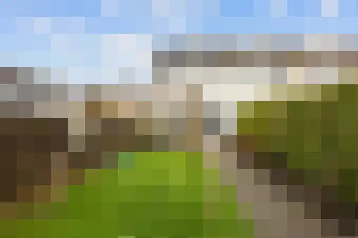 Poortkampen 31 Zuidhorn thumbnail 38