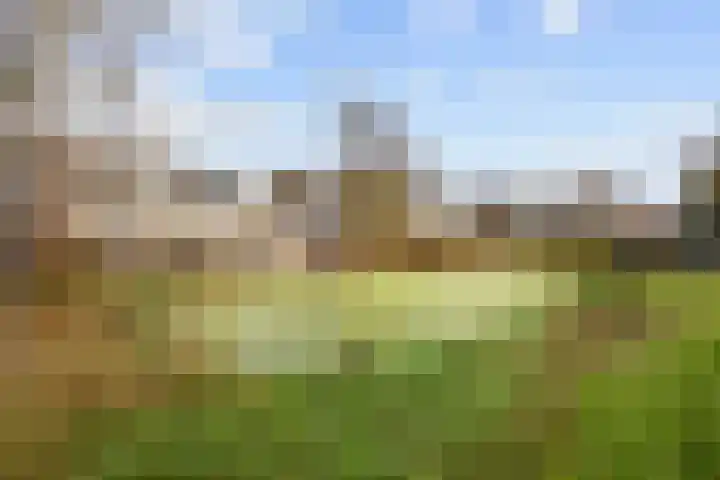 Poortkampen 31 Zuidhorn thumbnail 39