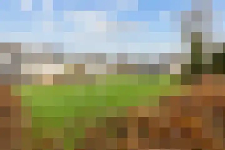 Poortkampen 31 Zuidhorn thumbnail 40