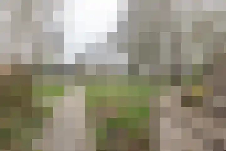 Poortkampen 36 Zuidhorn thumbnail 11
