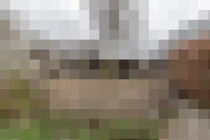 Poortkampen 36 Zuidhorn thumbnail 12