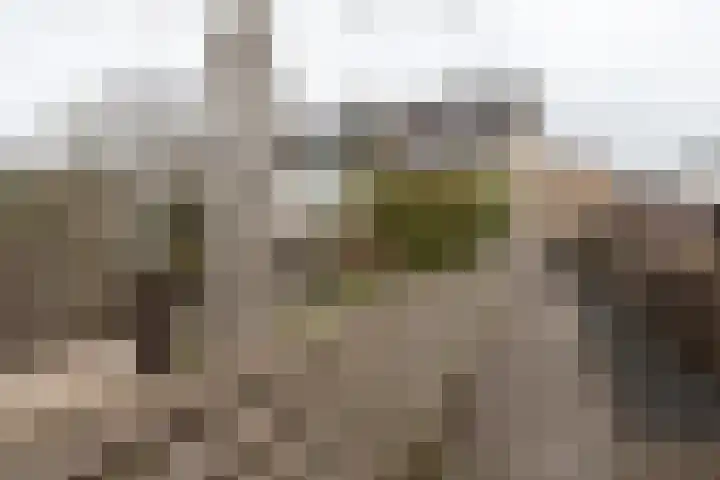 Poortkampen 36 Zuidhorn thumbnail 13