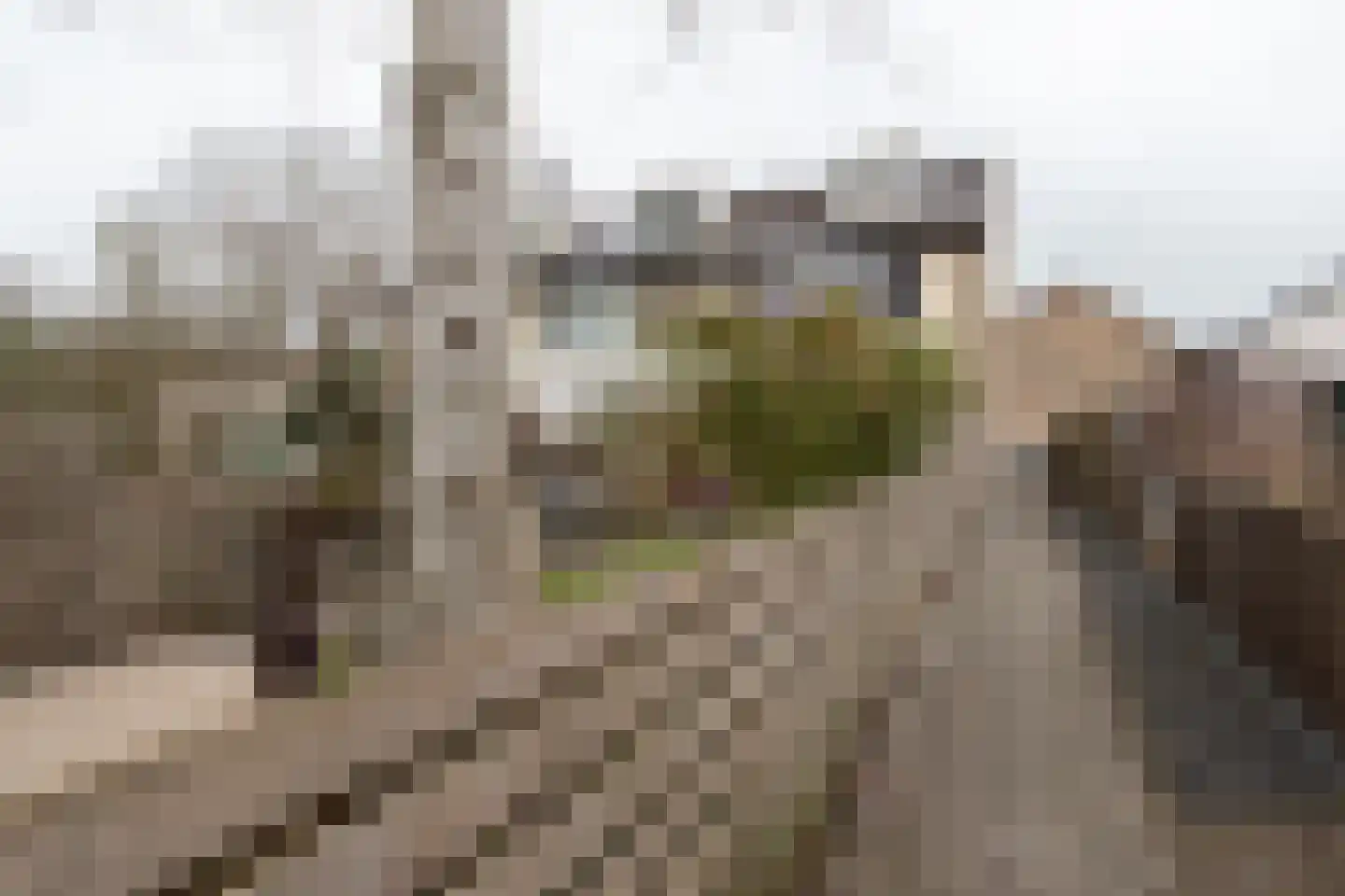 Poortkampen 36 Zuidhorn thumbnail 13