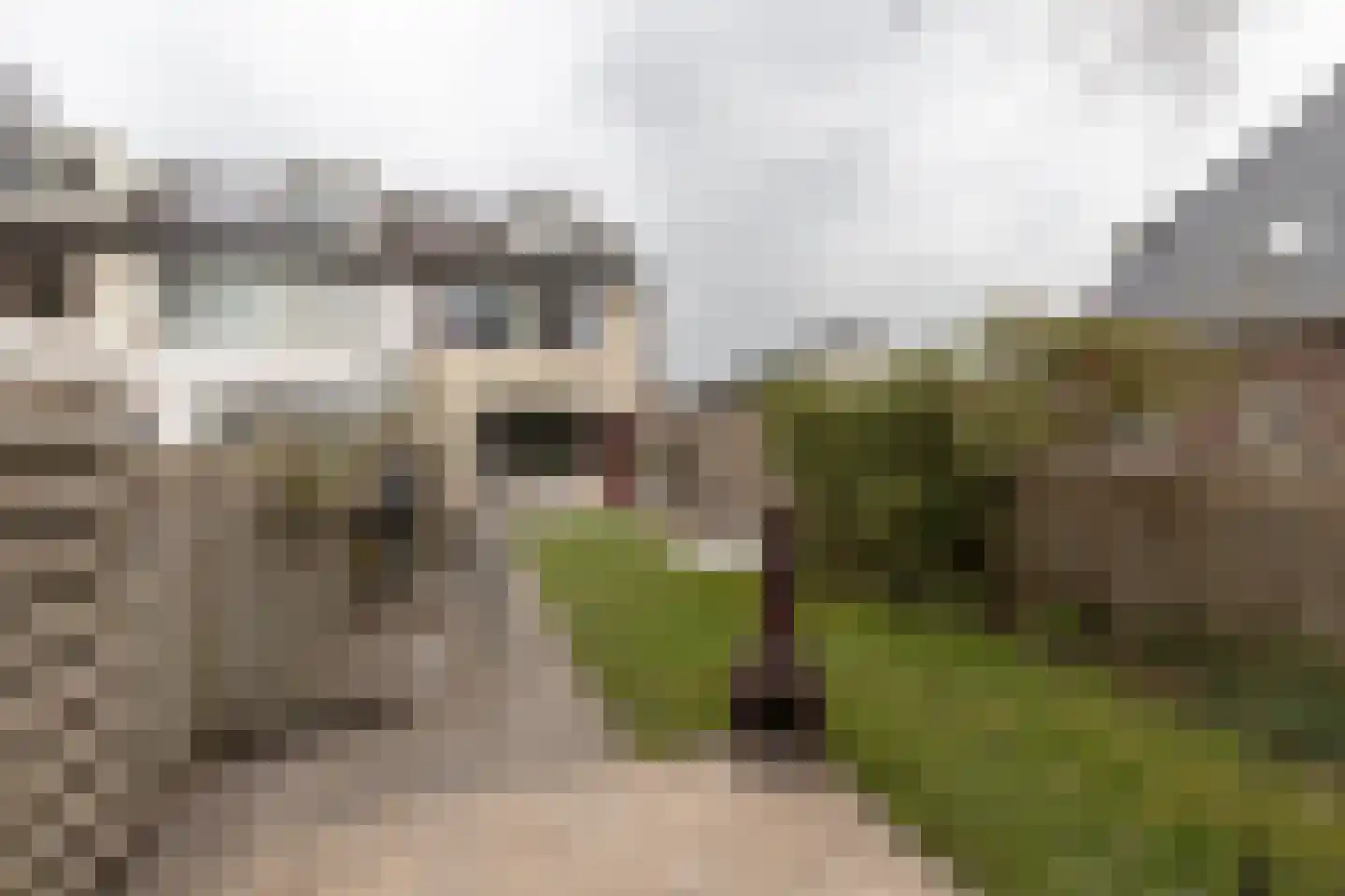 Poortkampen 36 Zuidhorn thumbnail 14
