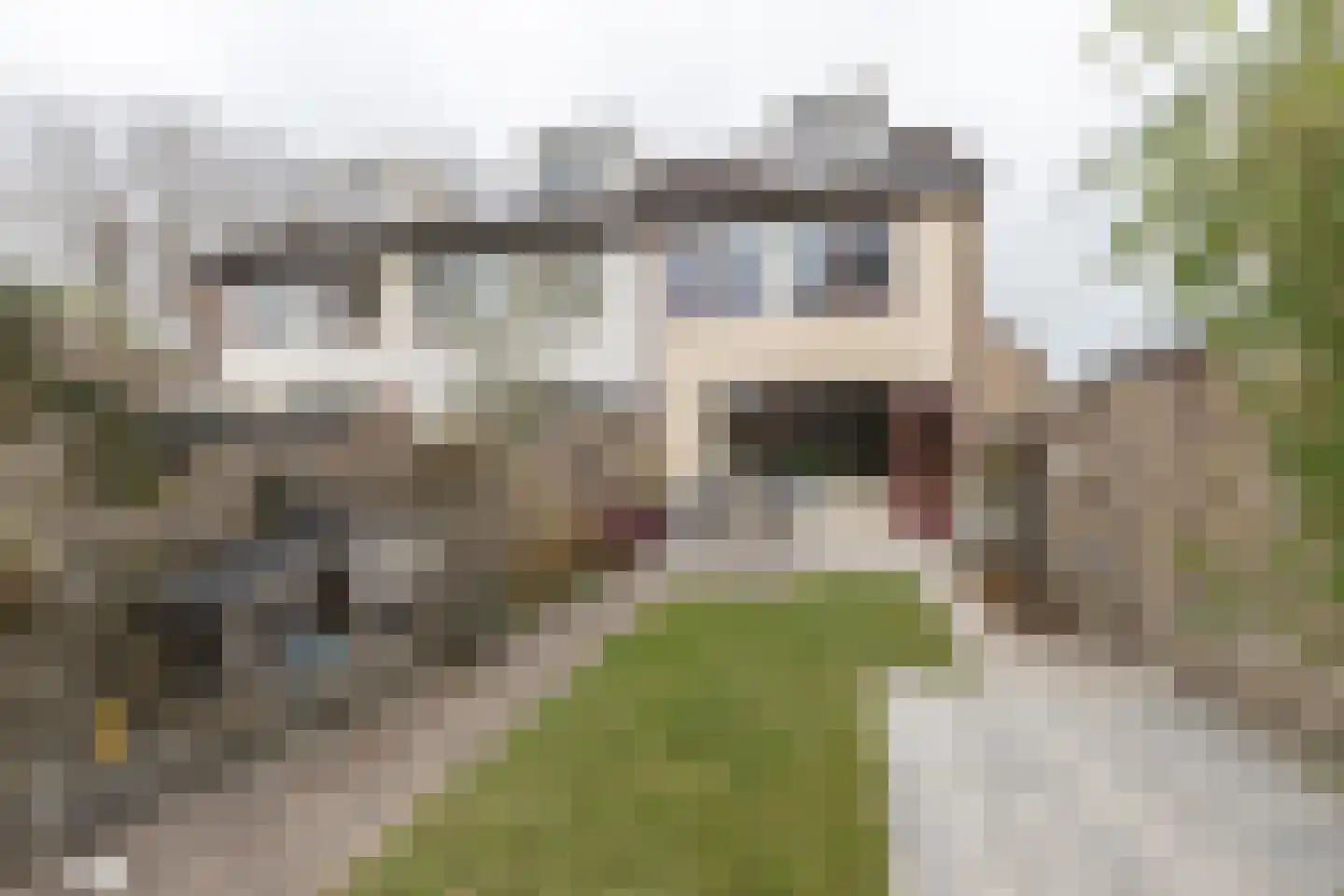 Poortkampen 36 Zuidhorn thumbnail 15