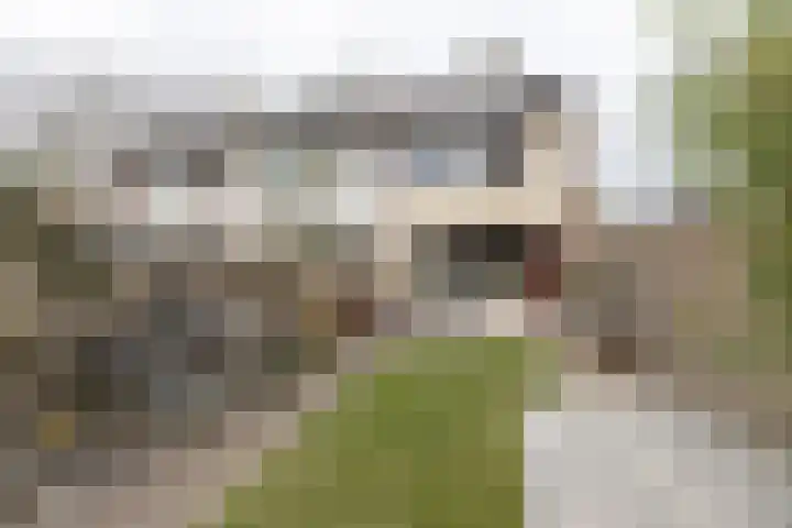 Poortkampen 36 Zuidhorn thumbnail 15