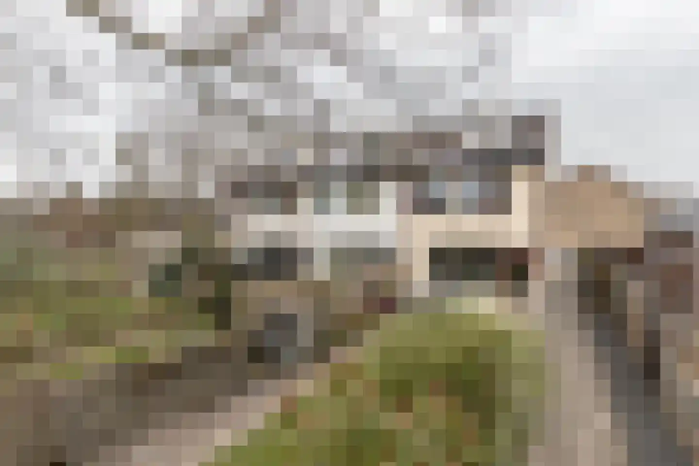 Poortkampen 36 Zuidhorn thumbnail 35