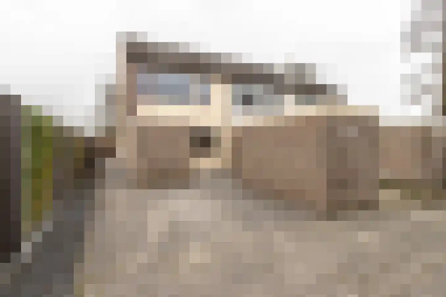 Poortkampen 36 Zuidhorn thumbnail 4