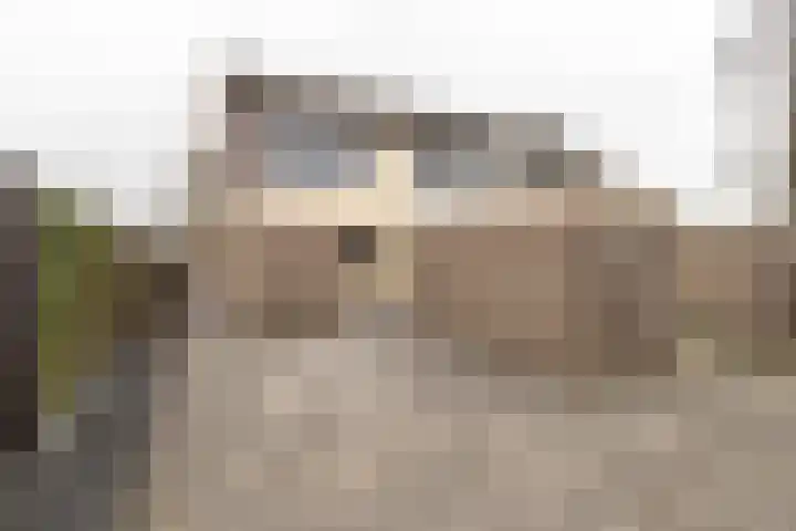 Poortkampen 36 Zuidhorn thumbnail 4