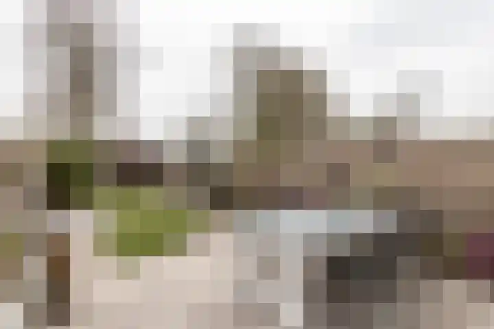 Poortkampen 36 Zuidhorn thumbnail 8