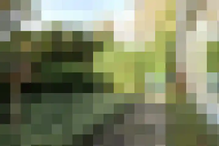 Poortkampen 48 Zuidhorn thumbnail 15