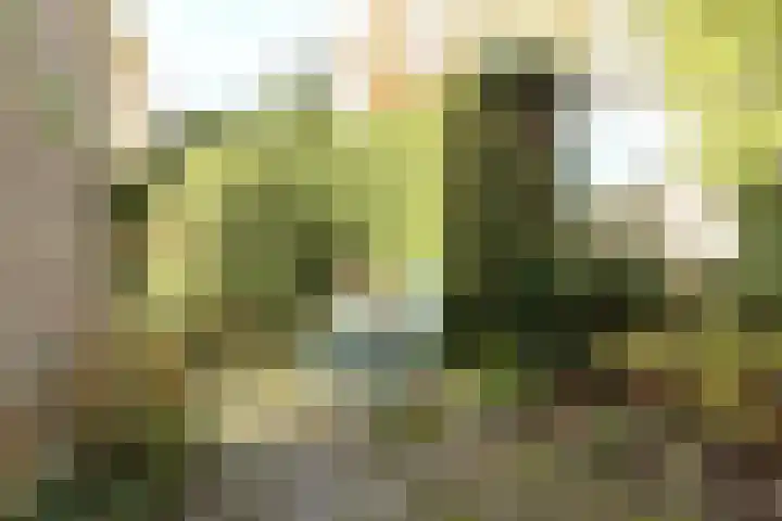 Poortkampen 48 Zuidhorn thumbnail 16