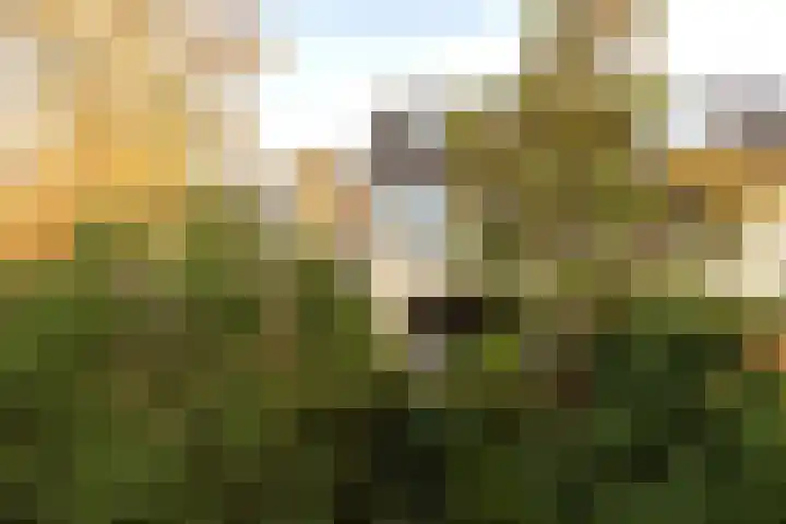 Poortkampen 48 Zuidhorn thumbnail 17