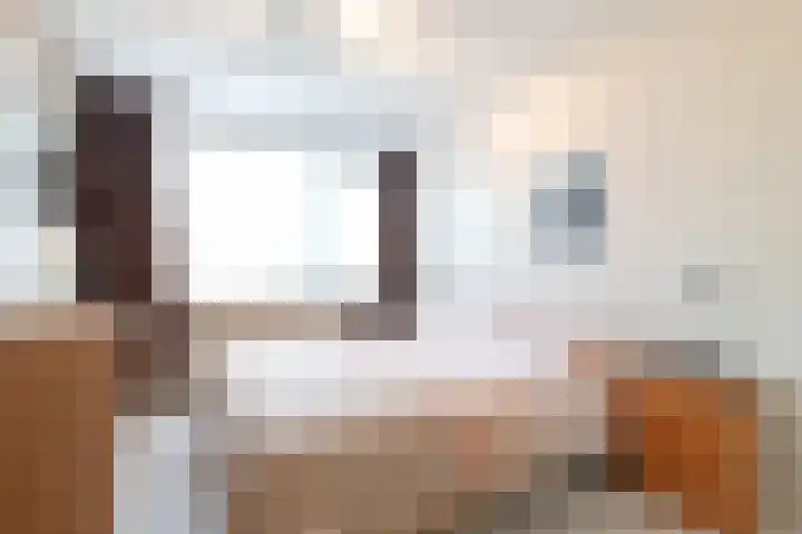 Poortkampen 48 Zuidhorn thumbnail 18