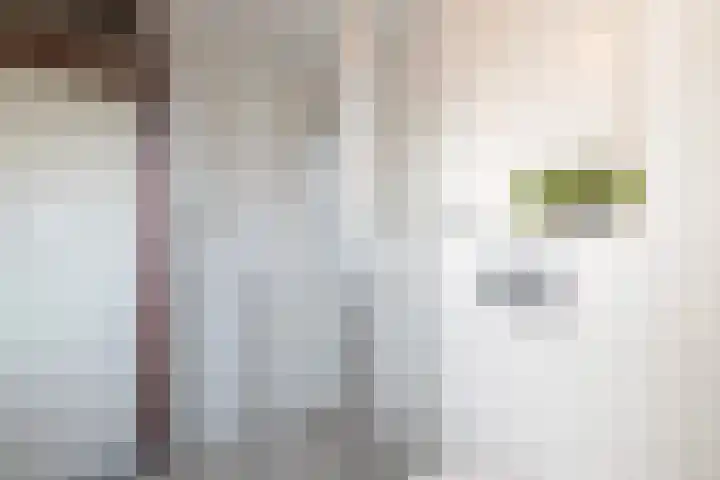 Poortkampen 48 Zuidhorn thumbnail 25