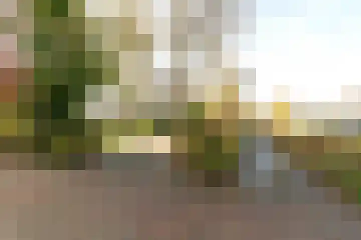 Poortkampen 48 Zuidhorn thumbnail 32