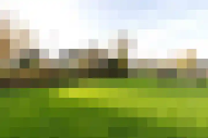 Poortkampen 48 Zuidhorn thumbnail 34