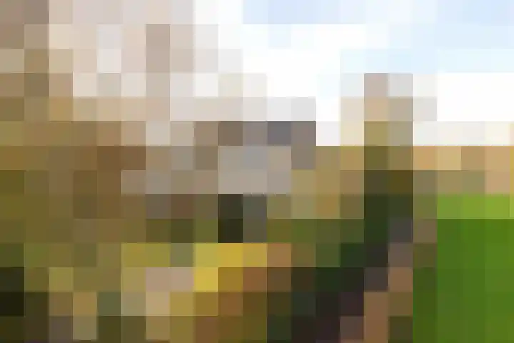 Poortkampen 48 Zuidhorn thumbnail 35