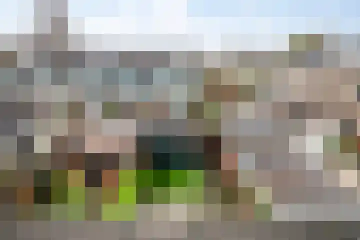 Poortlaan 108 Oud-Beijerland thumbnail 28
