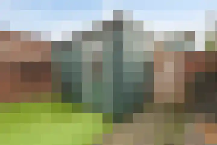Poortlaan 108 Oud-Beijerland thumbnail 30