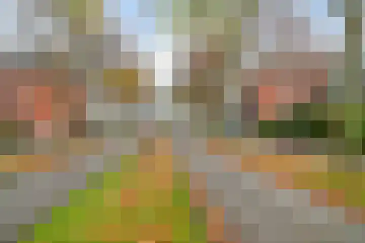 Poortlaan 108 Oud-Beijerland thumbnail 31