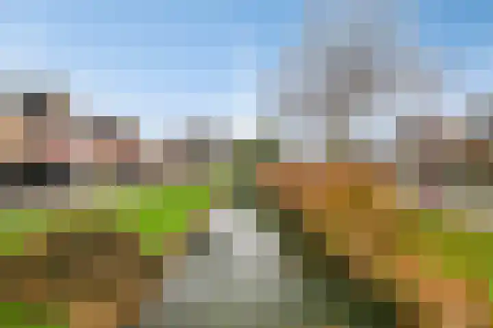 Poortlaan 108 Oud-Beijerland thumbnail 34