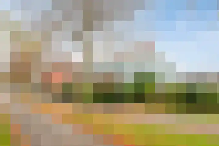 Poortlaan 108 Oud-Beijerland thumbnail 6