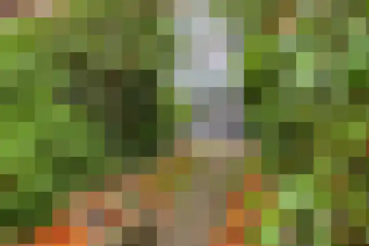 Poortlaan 108 Oud-Beijerland thumbnail 7