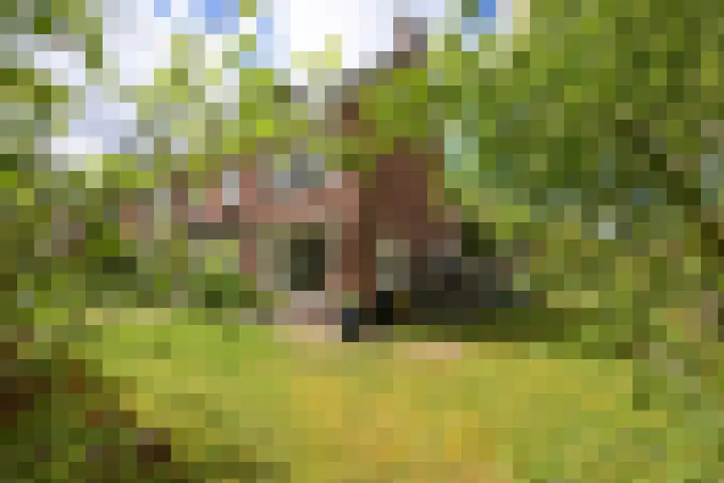 Poortlaan 2 Wassenaar thumbnail 32