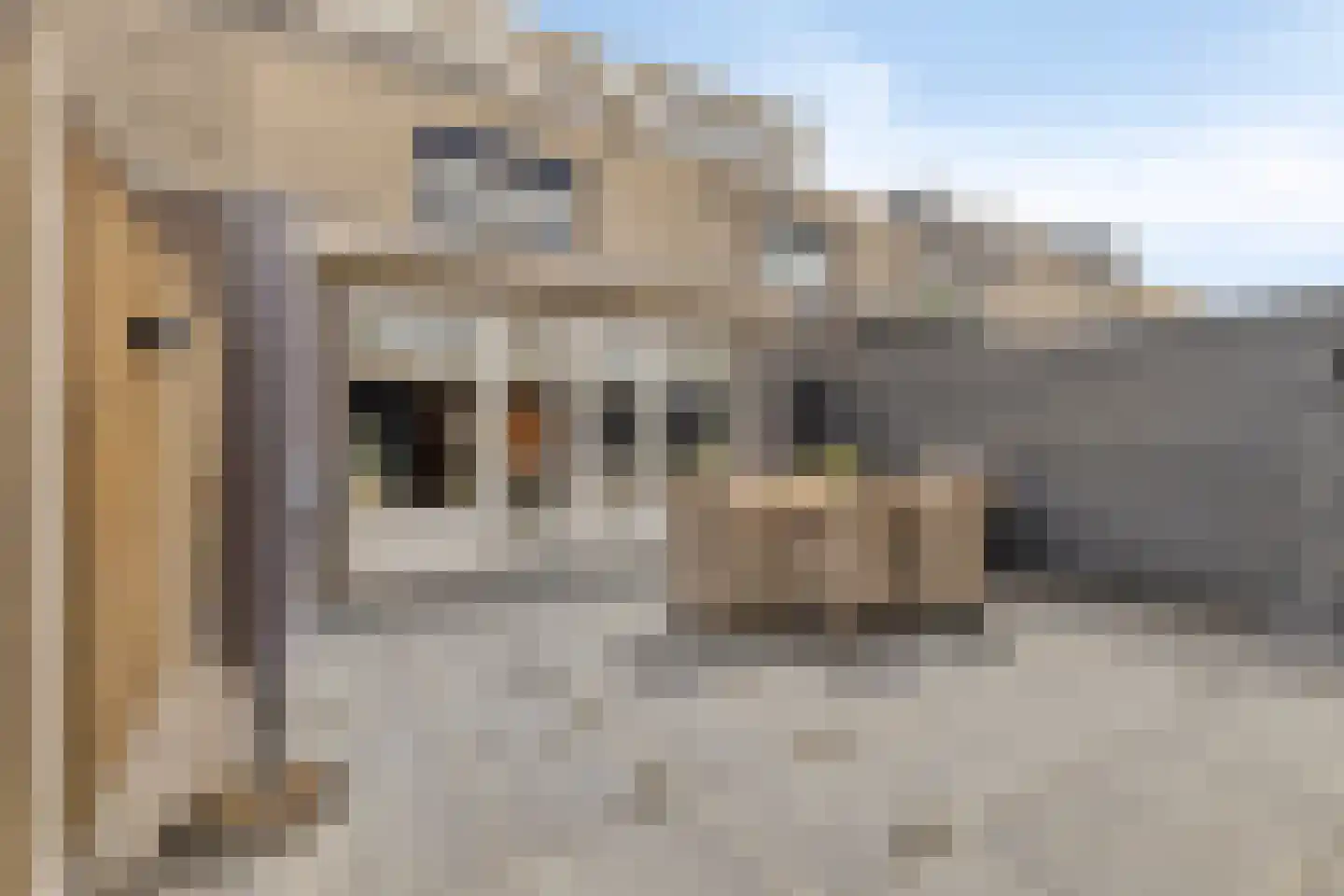 Poortlaan 54 Oud-Beijerland thumbnail 31