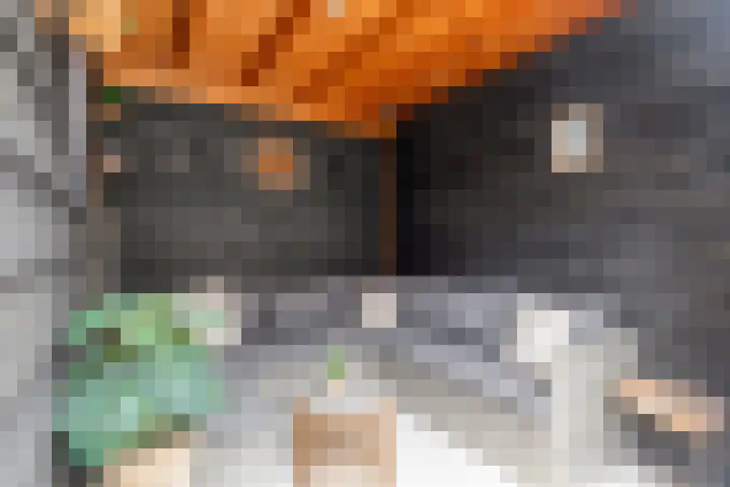 Poortlaan 54 Oud-Beijerland thumbnail 34