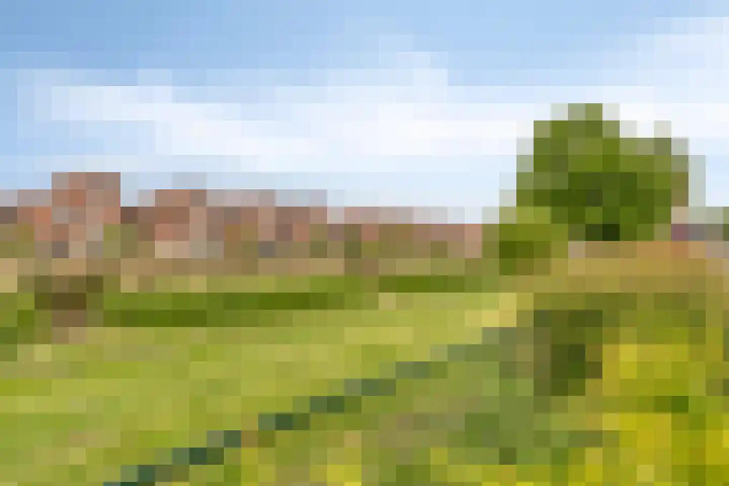 Poortlaan 54 Oud-Beijerland thumbnail 40