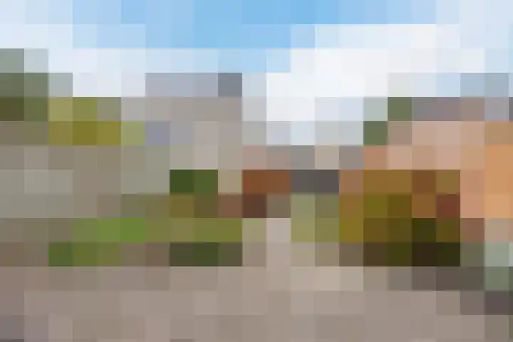 Poortlaan 58 Oud-Beijerland thumbnail 24