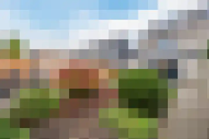Poortlaan 58 Oud-Beijerland thumbnail 25
