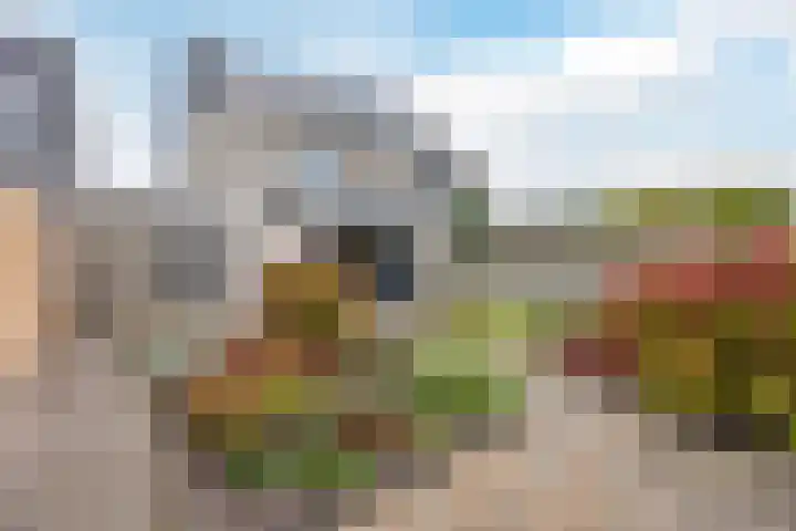 Poortlaan 58 Oud-Beijerland thumbnail 26
