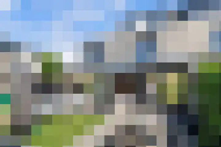 Poortlaan 79 Oud-Beijerland thumbnail 33