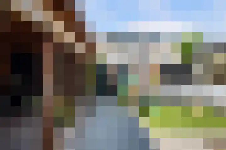 Poortlaan 79 Oud-Beijerland thumbnail 36