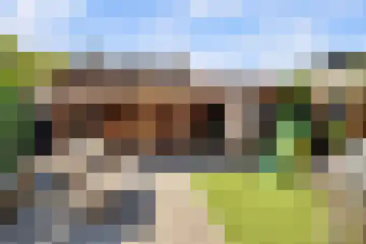 Poortlaan 79 Oud-Beijerland thumbnail 6