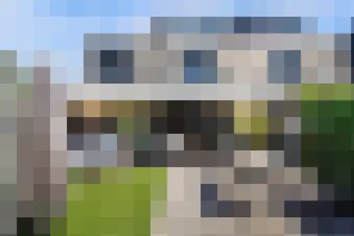 Poortlaan 79 Oud-Beijerland thumbnail 7