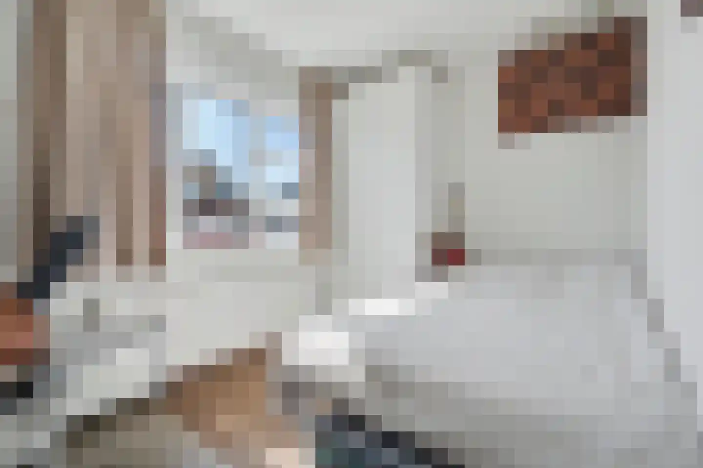 Poortlaan 93 Oud-Beijerland thumbnail 17