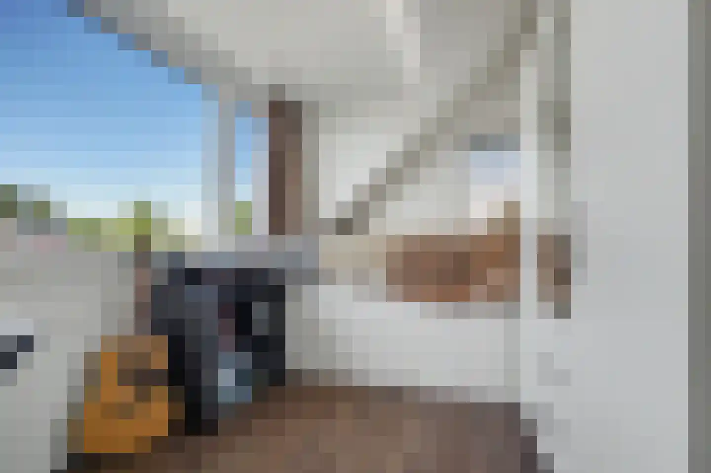 Poortlaan 93 Oud-Beijerland thumbnail 24