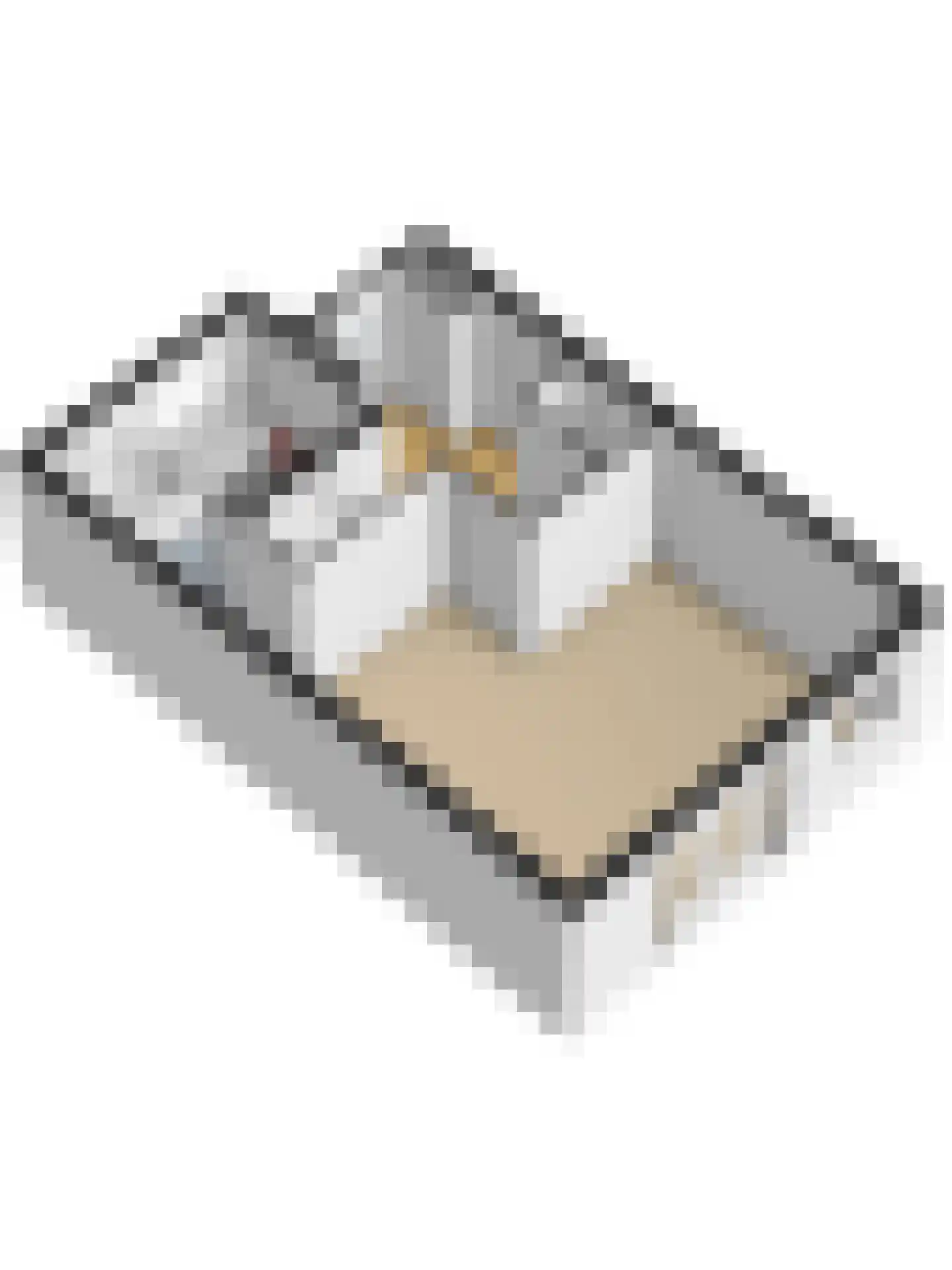 Poortlaan 93 Oud-Beijerland thumbnail 35
