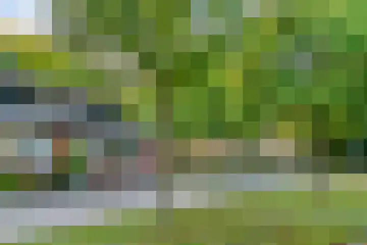 Poortland 1 Vleuten thumbnail 20