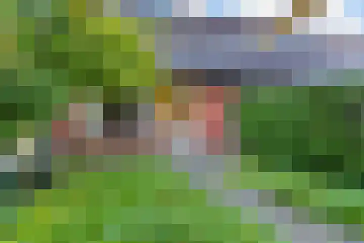 Poortland 1 Vleuten thumbnail 22