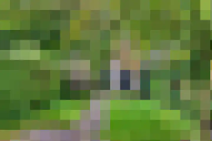 Poortland 1 Vleuten thumbnail 24