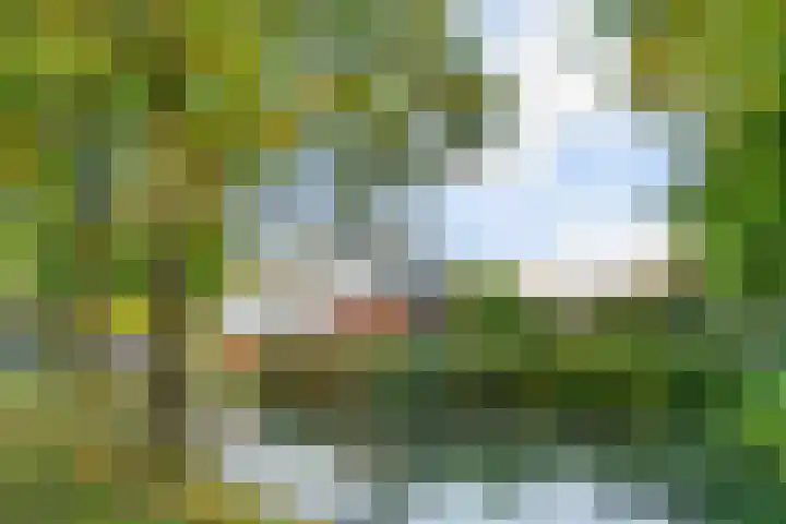 Poortland 1 Vleuten thumbnail 30