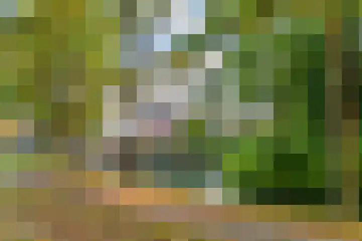 Poortland 1 Vleuten thumbnail 31