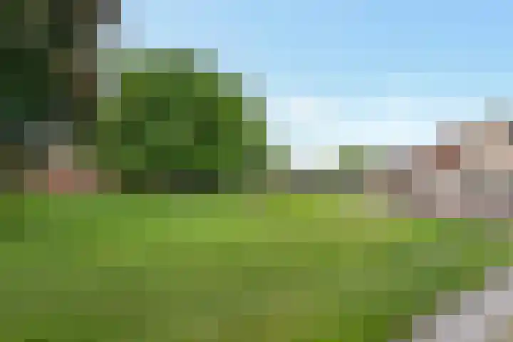 Poortland 1 Vleuten thumbnail 33