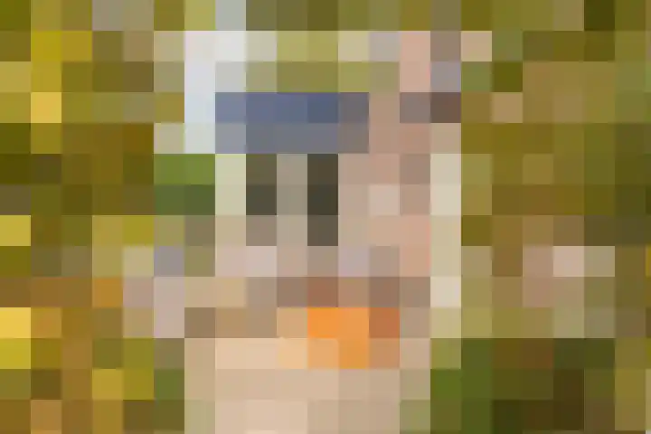 Poortland 18 Vleuten thumbnail 11
